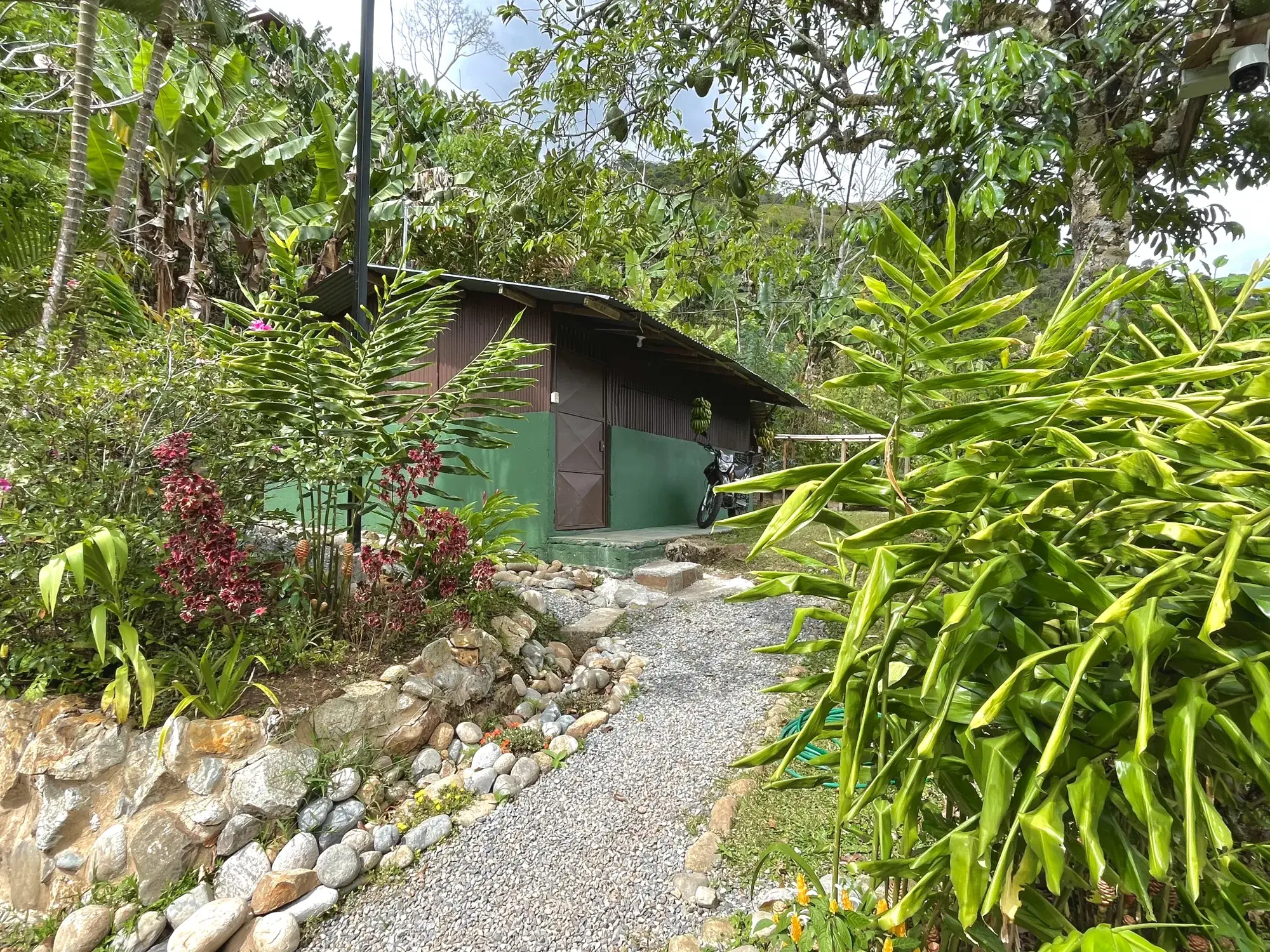 Bodega and utility building at the Pérez Zeledón property