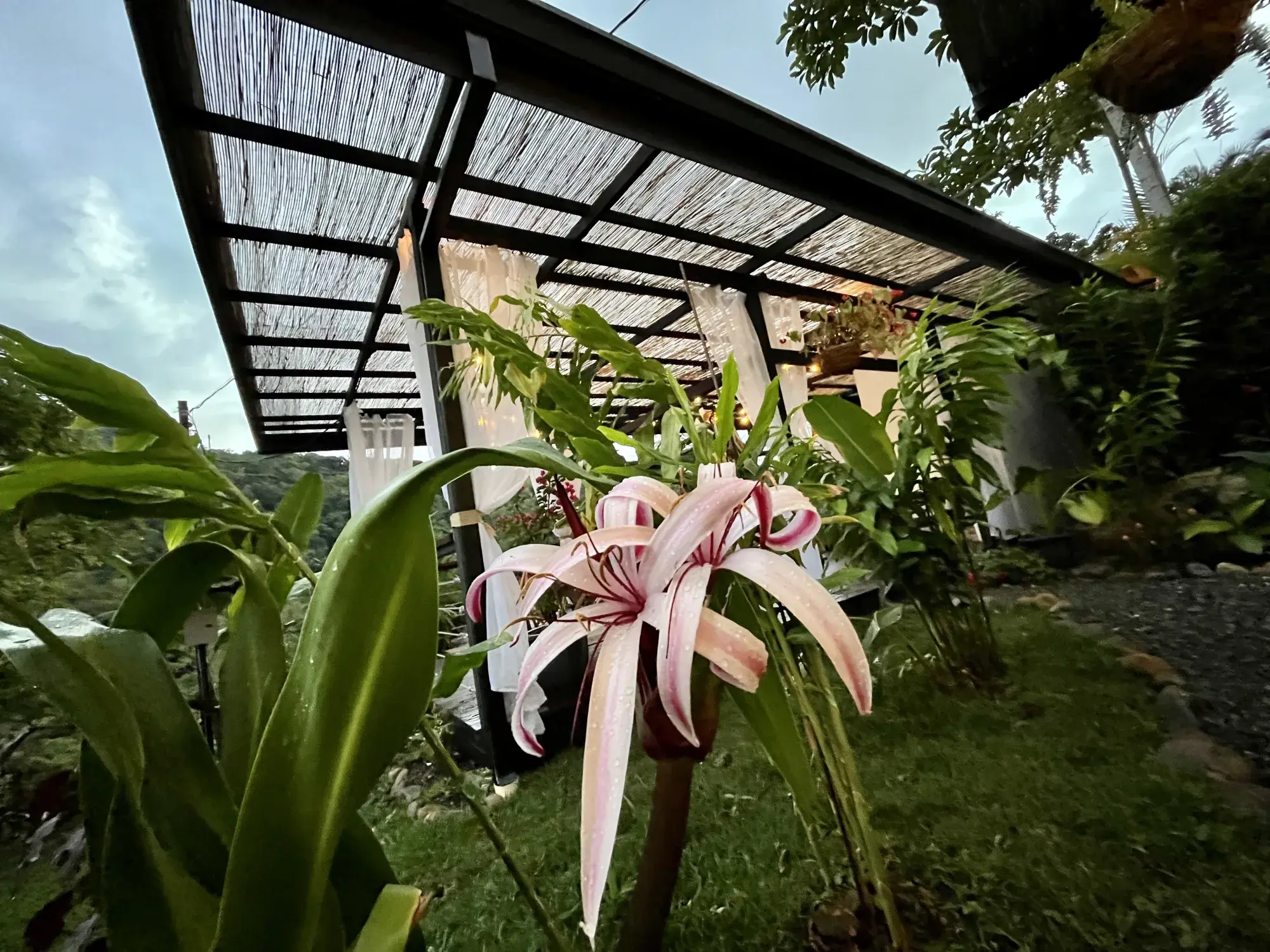 Covered yoga pavilion with valley backdrop at the Pérez Zeledón estate