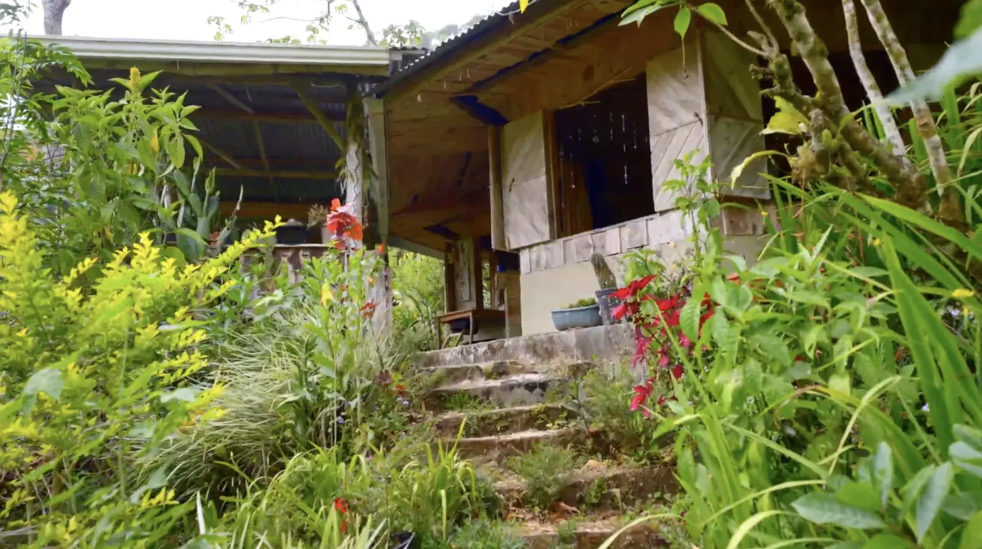 Guest house deck with rainforest views, Costa Rica estate