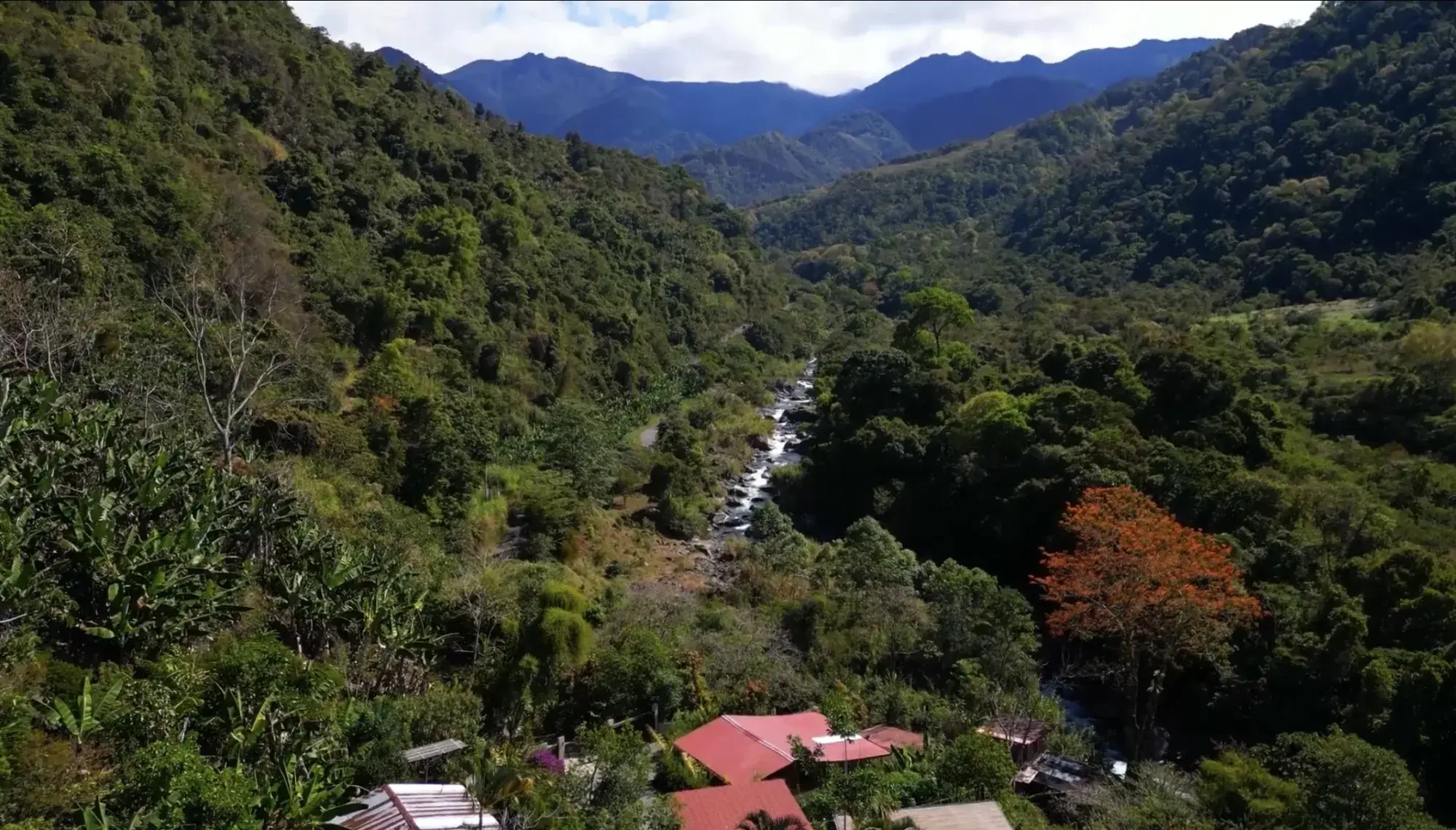 Aerial photo of the turnkey estate and tropical gardens near Dominical, Costa Rica