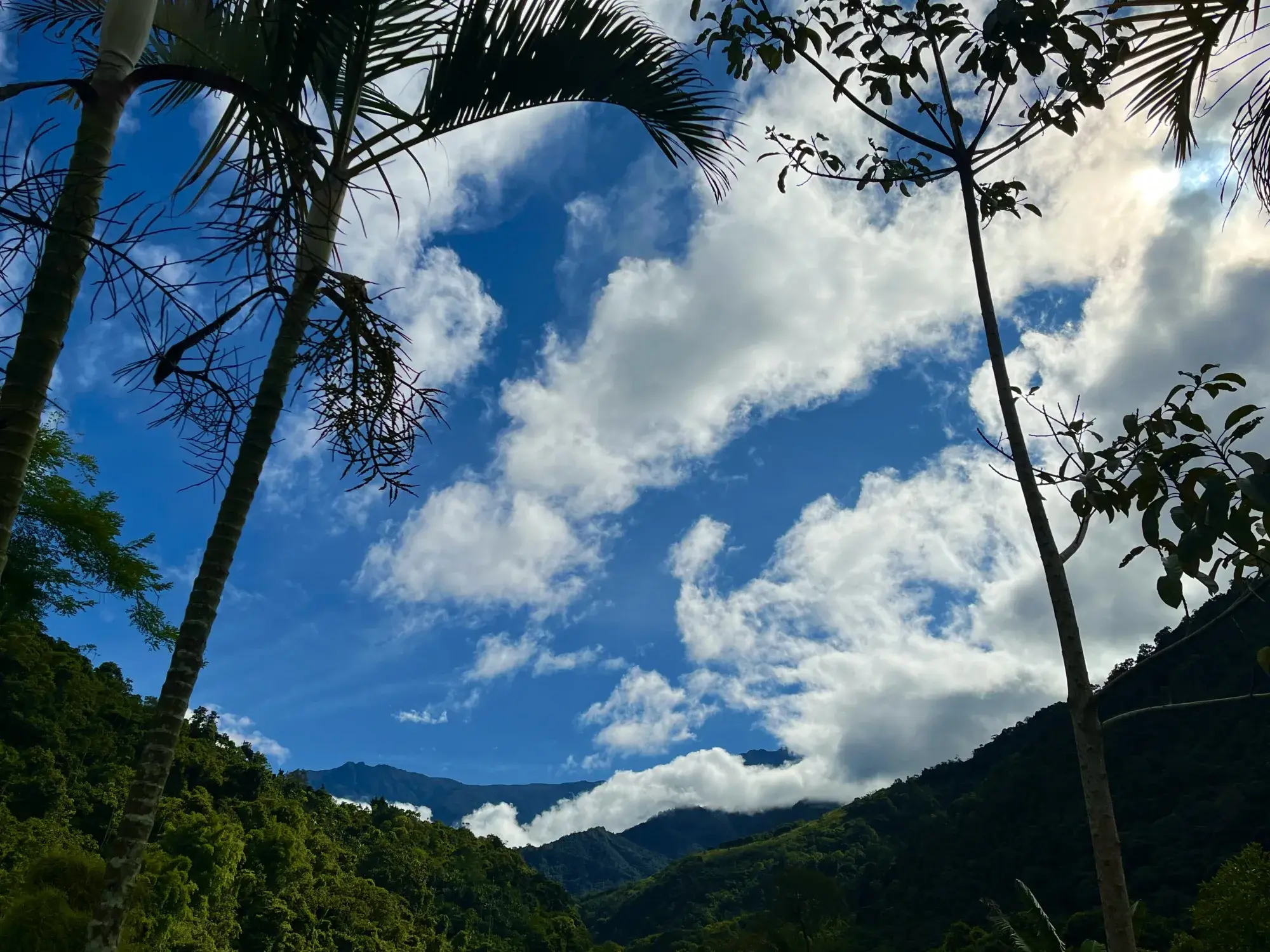Green mountain ridges surrounding the Costa Rica estate at sunset