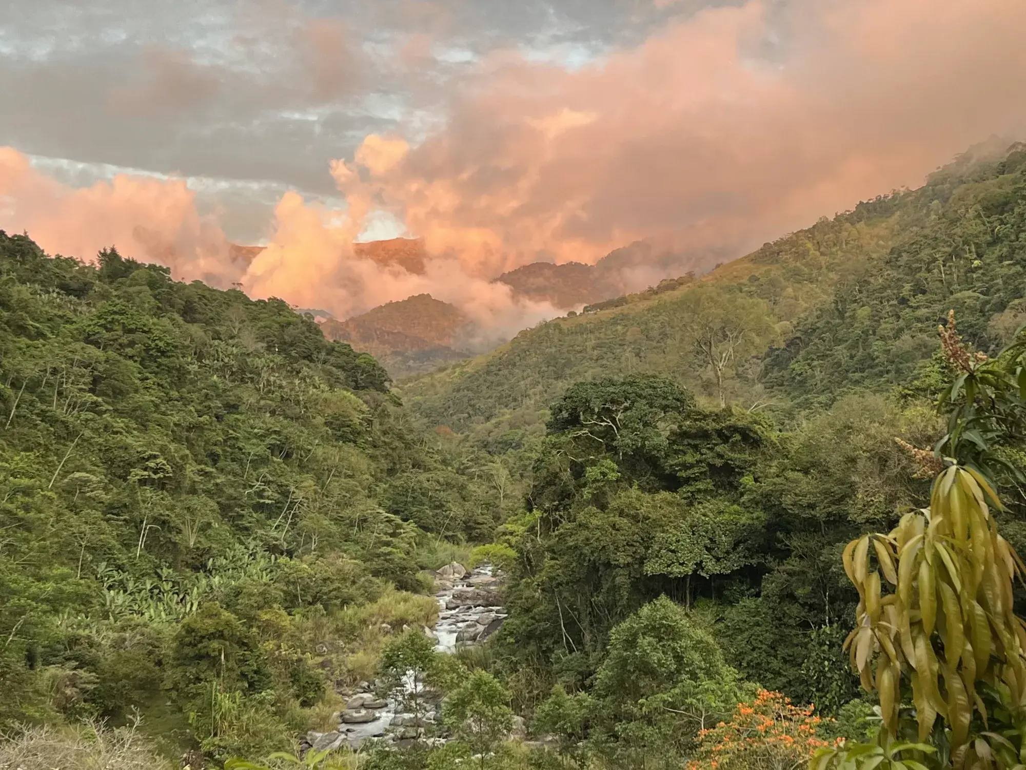 Misty valley view from the mountain estate in Southern Costa Rica